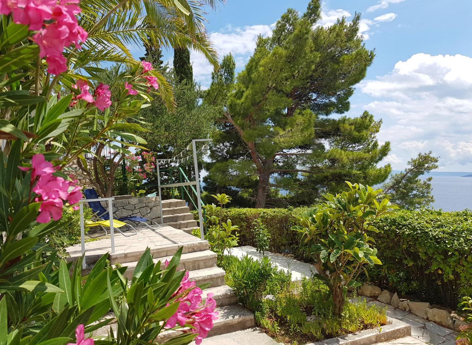 Villa Skalinada With Sea View 布雷拉 客房 照片